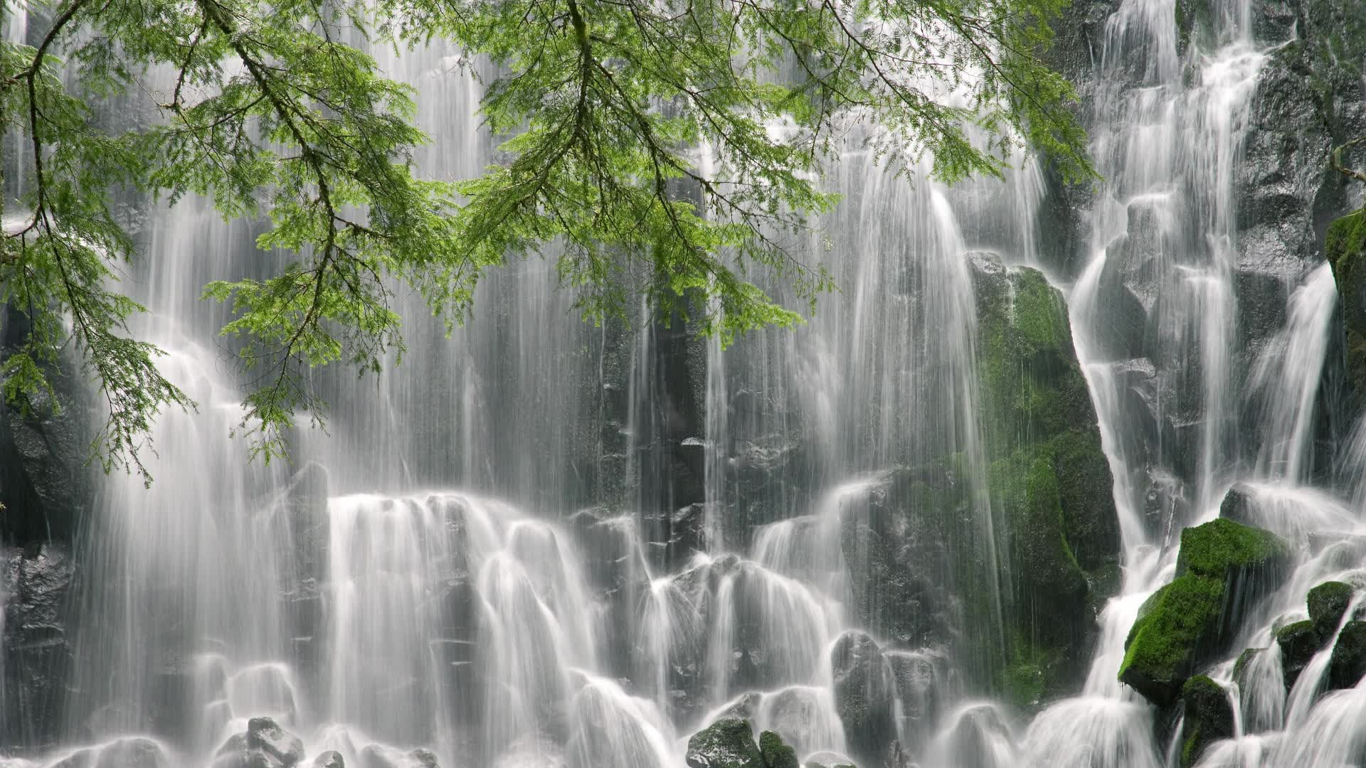 世界体操团体赛冠军选手担任青少年导师，世界体操团体赛冠军选手担任青少年导师吗